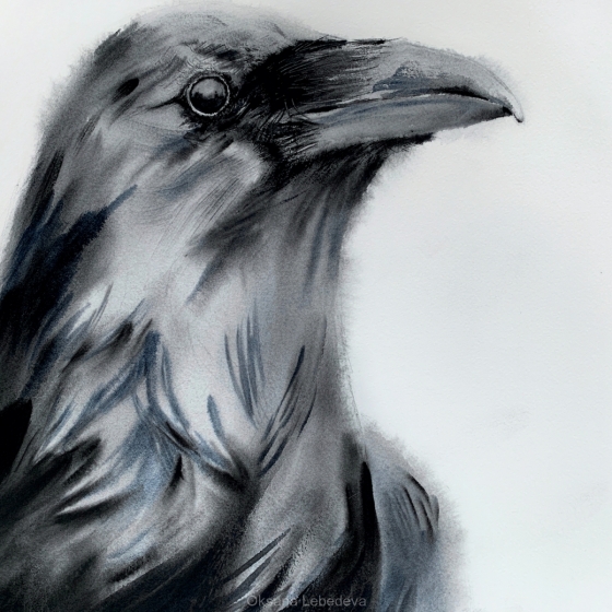 Crow